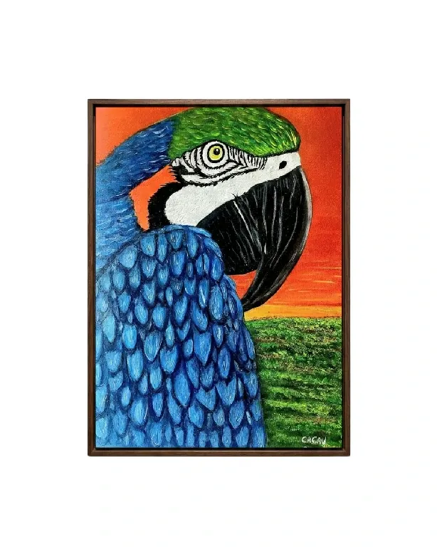 Arara Canindé • 60x40