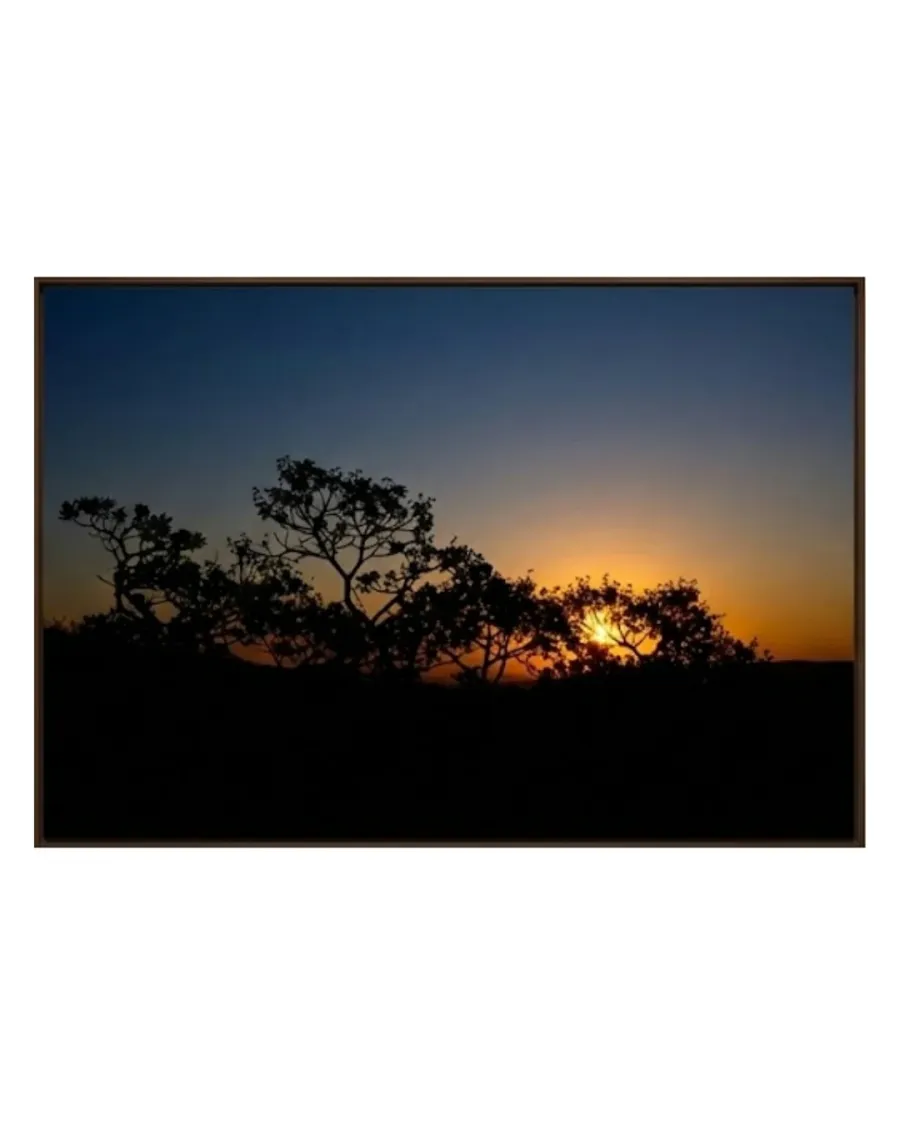 Silhueta Pôr do Sol • 80x120 • Hudson Duarte