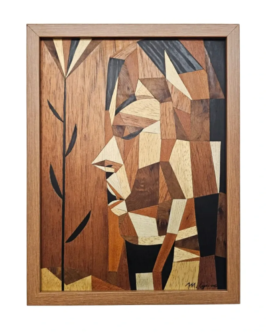 Índia Juana • 40x30 • Marcus Cyrino